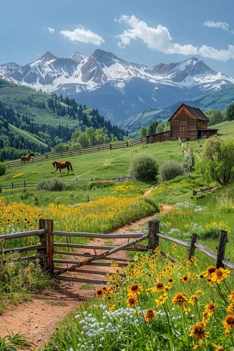 Beautiful Flower Fields Landscapes, Mountain Meadow Aesthetic, Flowers In The Mountains, Mountains And Wildflowers, Hills And Mountains Landscapes, Flower Field And Mountains, Mountain Land, Wildflowers Photography, Farm Landscape