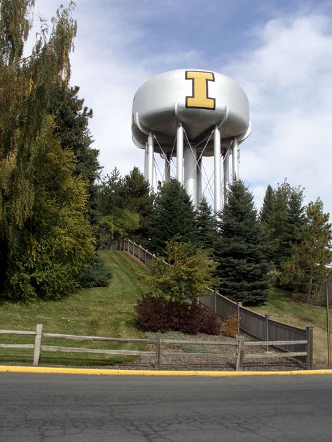 University of Idaho. Love my college days :) University Of Idaho Aesthetic, Pnw Adventures, Moscow Idaho, Dream University, College Vision Board, College Photography, University Of Idaho, Water Towers, Idaho State