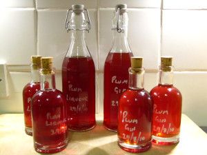 Plum Vodka, Plum Gin, Homemade Booze, Blackberry Gin, Flavored Alcohol, Pickle Vodka, Liqueur Recipes, Flavoured Gin, Homemade Alcohol