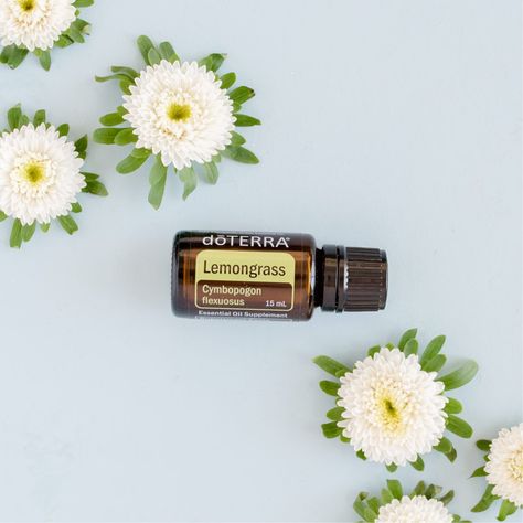 Essential Oil Aesthetic, Doterra Lemongrass, Oil Aesthetic, Essential Oil Roller Bottle Recipes, Roller Bottle Recipes, Doterra Essential Oils Recipes, Lemongrass Oil, Essential Oil Roller Bottle, Lemongrass Essential Oil