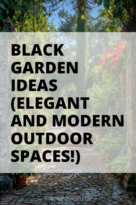 Explore captivating black garden ideas for a modern and moody ambiance! Dive into contemporary designs with dark foliage, black flowers, and charcoal planters. Create dramatic landscaping with slate pathways and monochrome themes. Embrace the allure of a gothic garden featuring night-blooming plants. Click for more details on how to design a striking black garden that exudes sophistication and mystery! Gothic Patio Ideas, Gothic Garden Aesthetic, Witch Garden Design, Dark Garden Aesthetic, Black Garden Ideas, Garden Ideas Ireland, Italian Garden Ideas, Cozy Patios, Black Mondo Grass