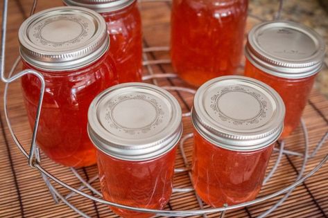 Chokecherry Jelly, Crab Apple Jelly, Jelly Making, Refrigerator Pickle Recipes, Homemade Irish Cream, How To Make Jelly, Apple Jelly, Crabapple Tree, Jelly Recipes