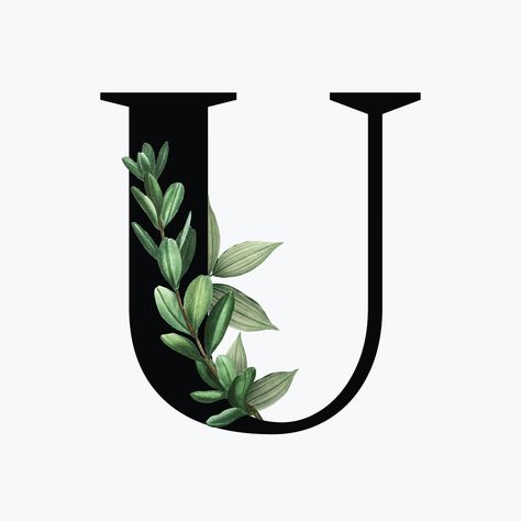 Botanical capital letter U font design | free image by rawpixel.com / Aum Letter U Design, Botanical Capital Letter, J Alphabet, U Design, Capital Alphabet, Alphabet Letters Design, Stylish Alphabets, Free Illustration Images, Alphabet Wallpaper