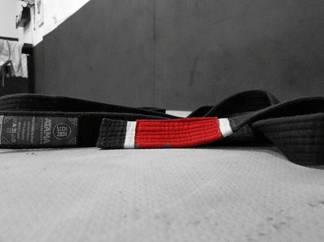 Jiu Jutsu, Bjj Black Belt, Mixed Martial Arts, Fake Story, Judo, Black Belt, Wild Cats, Red And Black, Martial Arts