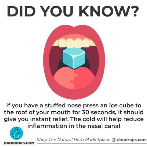 www.DaoDrops.com on Instagram: “DID YOU KNOW? Pressing an ice cube 🧊 against the roof of your mouth can provide relied of a stuffed nose. Blocked noses are caused largely…” Stuff Nose Remedies, Stuffed Nose, Best Cough Remedy, Blocked Nose, Natural Cold Remedies, Sinus Infection, Natural Cough Remedies, Cough Remedies, Cold Remedies