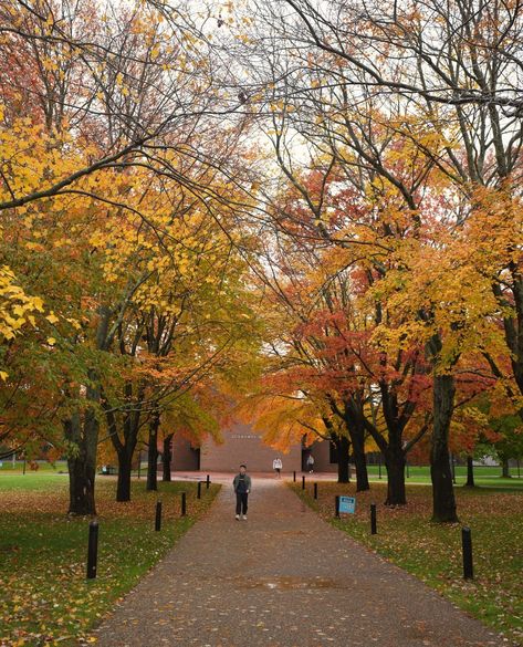 Bryant through the seasons🍁 ❄️ 🌷 ☀️ #Bryantuniversity Bryant University, Dream College, Dream School, December 12, The Seasons, University, On Instagram, Quick Saves, Instagram