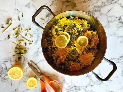 Dandelion Honey — The Edible Flower Dandelion Honey, Yellow Dandelion, High Sugar, Lemon Slice, Edible Flowers, Cooking And Baking, The Whole, Food To Make, Dandelion