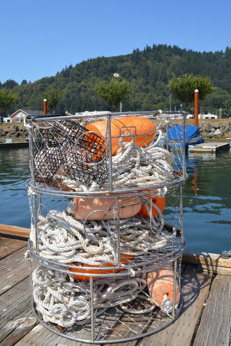 Garibaldi Oregon Crab Pots Garibaldi Oregon, Garibaldi Fish Tattoo, Baltimore Aquarium, National Aquarium Baltimore, Crab Shack, Botany Bay Edisto Island, Scenic Train Rides, Bay City, Oregon Travel