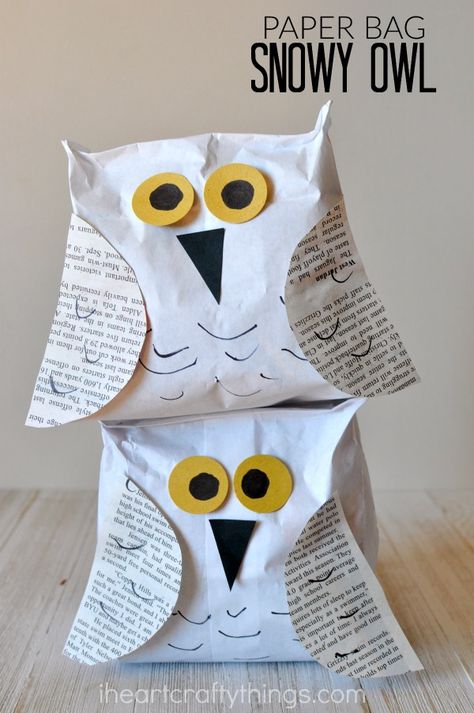 This stuffed paper bag snowy owl craft is a perfect compliment to learning about snowy owls. Fun winter kids craft and preschool craft. #owlcraft #owls #wintercrafts #winteractivitiesforkids #winteractivity #kidcraftideas #kidcrafts #craftsforkids #recycledart Owl Crafts Preschool, Owl Preschool, Snowy Owl Craft, Owl Activities, Owl Craft, Snowy Owls, Paper Bag Crafts, Fox Crafts, Snowflake Craft