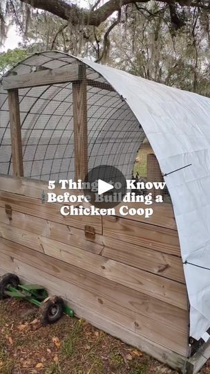 460K views · 4.9K reactions | Did you know all these things? I was most shocked about the roosting bars and chickens sleeping with their feet flat when I was first learning about chickens 😅☺️

These are the things I think are most important to keep in mind when building (or even buying) a chicken coop or chicken tractor! I hear a lot of questions about heat and cold weather, and excluding extreme temps (though we do get extreme heat here), I think ventilation is a much higher priority. Everyone's climate is different, but that's just my take! 

Also, 5 gallon buckets for nesting boxes are still so epic to me...and cheap! 😍🐓
.
.
.
#fresheggs #freerangechickens #meatchickens #pasturedpoultry #chickencoop #chickenfarm #chickentractor #raiseyourownfood #homesteading #farmingwithkids #farmli Chicken Farm Design How To Build, Chicken Tractor With Nesting Boxes, Chickens Sleeping, Bucket Nesting Boxes, Nest Boxes For Chickens, Chicken Tractor Ideas, Chicken Nest Boxes, Chicken Nesting Box Ideas, Moveable Chicken Coop