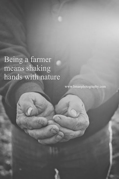 Countryside Quotes, Farming Quotes, Farm Life Quotes, Thank A Farmer, Farmer Quotes, Farmers Life, Farm Facts, Farm Quotes, Community Quotes