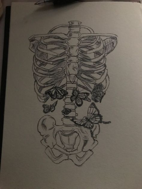 Xray Butterfly In Stomach, Butterflies In Skeleton Stomach, Ribcage With Butterflies Drawing, Butterfly Lungs Drawing, Ribs With Butterflies Drawing, Butterflies In Stomach Sketch, Butterflies In Stomach Painting, Lungs With Butterflies, Skeleton With Butterflies In Stomach Drawing