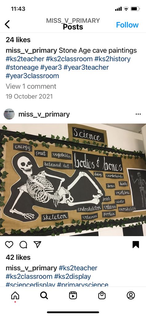 Bone Project Ideas, Anatomy Classroom Decorations, Human Body Bulletin Board, Human Body Classroom Transformation, Skeletal System Activities High School, Skeletal System Anchor Chart, Hessian Classroom, Skeletal System Poster, September Homeschool