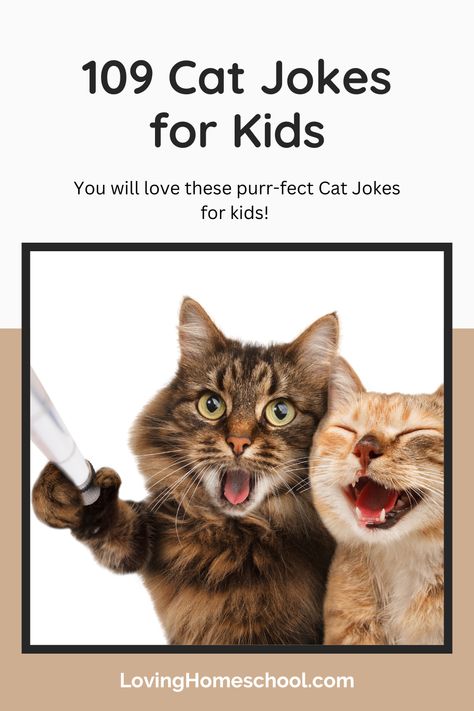 You will love these purr-fect 109 Cat Jokes for kids! Whether you are doing a study on cats or just love a good joke, you will have fun with these! Cat Jokes For Kids, Love Jokes, Cat Massage, Lunchbox Jokes, Jokes For Teens, National Cat Day, Cat Jokes, Cat Call, Cat Talk