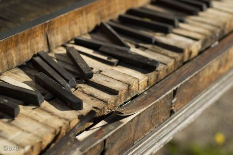 So when someone offers you a free piano you........ | Adult Beginners Forum | Piano World Piano & Digital Piano Forums Old Piano, Old Pianos, Free Piano, Space Artwork, Guitar Players, Piano Keys, Art Painting Gallery, Gothic Aesthetic, Music Photo