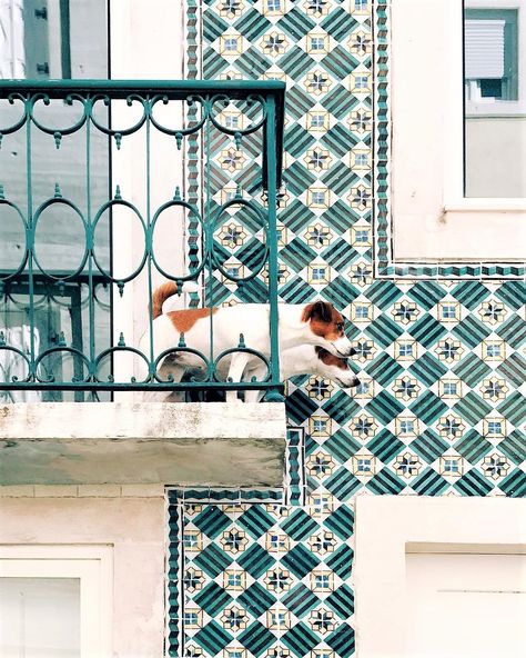 Lisbon Apartment, Azulejos Tiles, Candle Basket, Guard Dog, When Was The Last Time, Lisbon Portugal, Tile Patterns, The Last Time, Tile Design