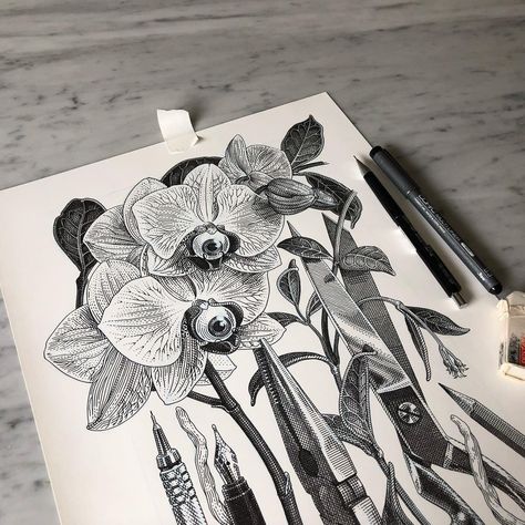 Olivia Knapp, Crosshatching Drawing, Anatomy Images, Skull Sketch, Orchid Tattoo, Paint Inspo, Pen Tattoo, Multimedia Arts, Cross Hatching