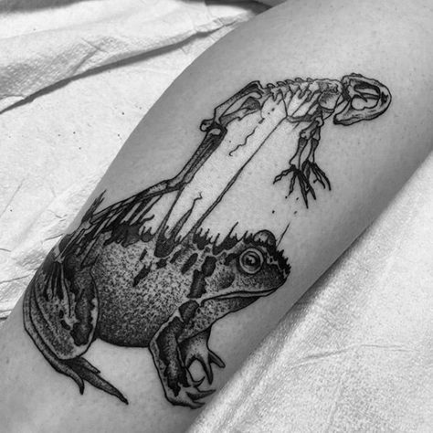 Intriquite Tattoos, Spooky Frog Tattoo, Mens Tattoo Ideas Sleeve Inspiration Men, Skeleton Forearm Tattoo, Frog Skeleton Tattoo, Brent Tattoo, Toad Skeleton, Rolly Polly Tattoo, Animal Skeleton Tattoo