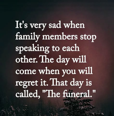 Multiple Deaths In Family Quotes, Feeling Unappreciated Quotes Families, Family Argument Quotes, Estranged Siblings Quotes, Being Left Out By Family, Respect Parents Quotes, Family Quotes Truths, Disrespect Quotes, Mothers Love Quotes