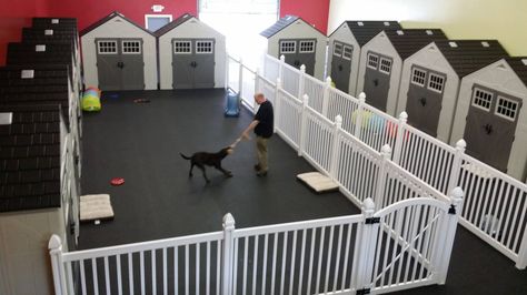 Indoor Fence For Dogs, Pet Daycare Ideas, Dog Daycare Design Floor Plans, Home Dog Daycare Ideas, Dog Daycare Reception, Dog Daycare Design Pet Resort, Indoor Dog Boarding, Small Dog Boarding Facility, Doggy Day Care Ideas