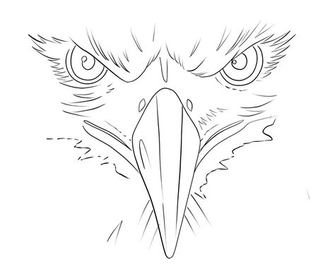 Eagle Face Drawing, Eagle Tattoo Stencil, Eagle Head Drawing, Eagle Outline, Illusion Tattoos, Optical Illusion Tattoos, Animal Tattoo Ideas, Ear Tattoo Ideas, Eagle Drawing