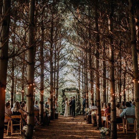 23 of Ohio’s Top Wedding Venues | Orchard House | Photo: Grace E. Jones Wedding Outside, Forest Wedding Venue, Twilight Wedding, Orchard House, Ohio Wedding Venues, Forest Theme Wedding, Wedding Reception Ideas, Enchanted Forest Wedding, Old Mansions