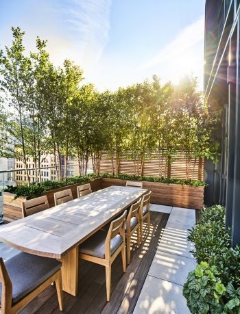 Kim Hoyt Architect Penthouse Garden, Green Wall Garden, Green Roof Garden, Roof Terrace Design, Roof Terraces, Roof Garden Design, Landscape Reference, Roof Gardens, Suite Design