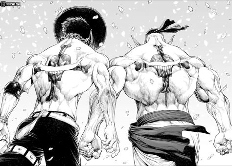 Boichi Manga, Sun Ken Rock, Doflamingo Wallpaper, One Piece Episodes, One Piece Chapter, White Beard, Concept Art Character, One Piece Drawing, Manga Artist