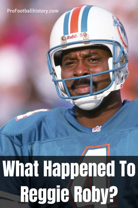 Reggie Roby was a three-time Pro Bowl punter who spent the majority of his 16-year NFL career with the Miami Dolphins. This is his story. 1972 Miami Dolphins, Miami Dolphins Funny, Miami Dolphins, What Happened, Dolphins, Miami, Nfl, Career, Bowl