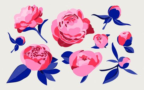 Premium Vector | Set of various decorative peonies or roses isolated on a white background floral botanic concept White Background Floral, Peony Illustration, Peony Leaves, Poinsettia Plant, Blue Plants, Garden Illustration, Flower Vector, Background Floral, Decorative Leaves