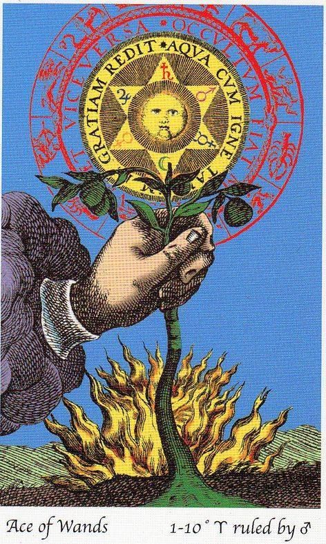 Occult Painting, Ace Of Wands Tarot Card, Ace Of Wands Tarot, Ace Of Wands, Mystic Symbols, Wands Tarot, Alchemy Art, Alchemic Symbols, Alchemy Symbols