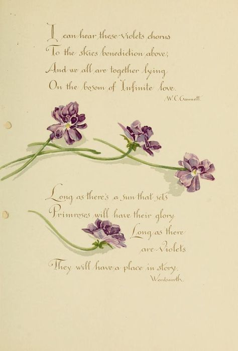 Violet Quotes, Edith Holden, Micro Photography, Sweet Violets, Flower Names, Botanical Beauty, Easy Watercolor, Pretty Prints, Blue Violet