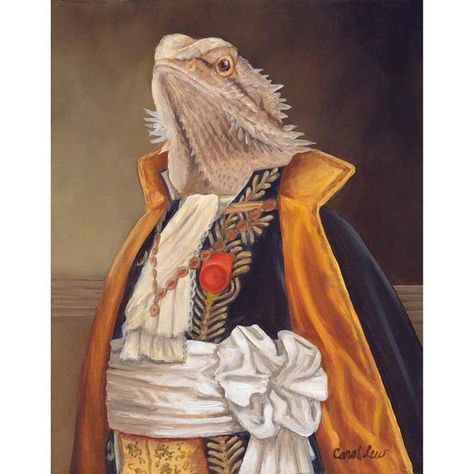 Bearded Dragon Clothes, Bearded Dragon Funny, Bearded Dragon Diet, Baby Bearded Dragon, Bearded Dragon Cute, Bearded Dragon Care, Dragon Family, Dragon Costume, Pet Dragon