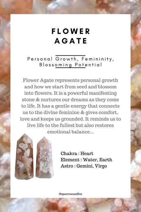 Flower Agate Properties, Black Flower Agate Meaning, Flower Agate Crystal Meaning, Flower Agate Meaning, Crystal Encyclopedia, Black Flower Agate, Best Healing Crystals, Minerals Crystals Stones, Agate Meaning