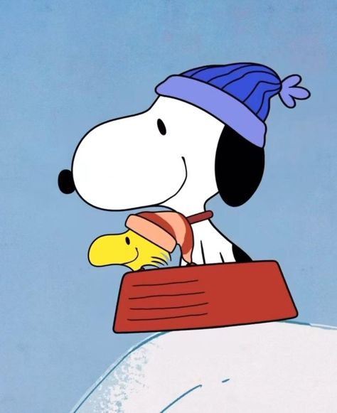 Snoopy Gif, Snoopy Cartoon, Animal Humour, Snoopy Funny, Peanuts Cartoon, Peanuts Snoopy Woodstock, Snoopy Pictures, Snoopy Woodstock, Gif Animation