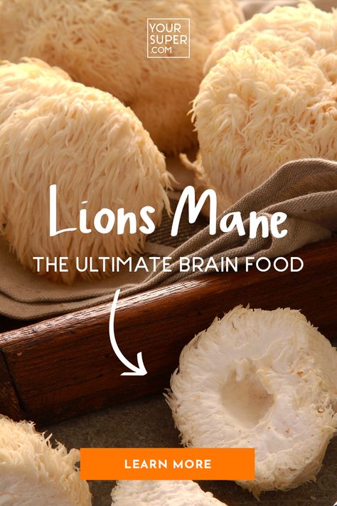 Lions Main Mushroom Benefits, Health Benefits Of Mushrooms, Vegan Protein Smoothie, Improving Memory, Mushroom Benefits, Blooming Onion, Meatless Meal, Lions Mane, Body Detoxification