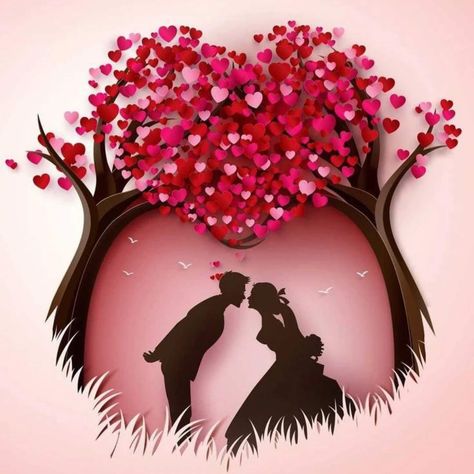 WhatsApp Dp Whatsapp Dp Images Love, Flower Whatsapp Dp, Love Dp, Anniversary Pics, T Wallpaper, Pink Wallpapers, Birthday Background Images, Peacock Wall Art, Wallpaper Photo Gallery