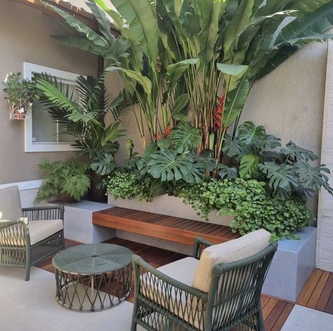 Tropical Modern Backyard, Terrace Plants Ideas Outdoor, Tropical Courtyard Garden, Tropical Planters, Tropical Planter, Tropical Courtyard, Modern Planters Outdoor, Tropical Landscape Design, Modern Patio Design