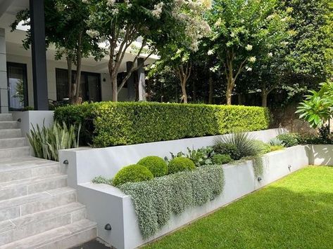 Sloped Front Yard Landscaping, Landscape Design Backyard, Front Garden Entrance, Sloped Front Yard, Back Garden Landscaping, Hampton Garden, Modern Garden Landscaping, Landscaping On A Hill, Design Backyard