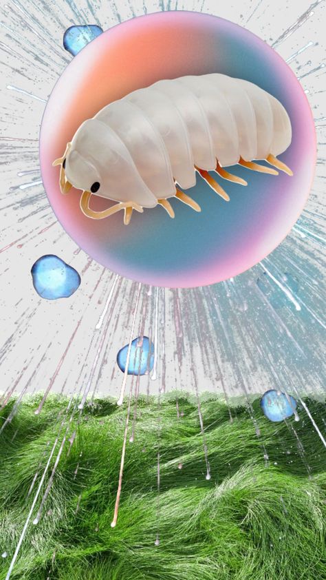 #buglord Isopod Wallpaper, Bug Wallpaper, Giant Isopod, Woodlice, Pill Bug, Cool Bugs, Dreamcore Weirdcore, Chur, Scary Art