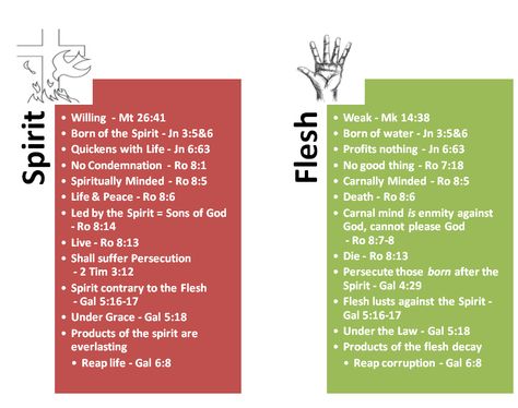 Comparisons: Spirit vs. Flesh Flesh Vs Spirit Quotes, Flesh Vs Spirit, Bible Study Ephesians, Bible Calendar, Biblical Timeline, Biblical Knowledge, Salvation Scriptures, Bible Verse Vinyl, Youth Bible Study