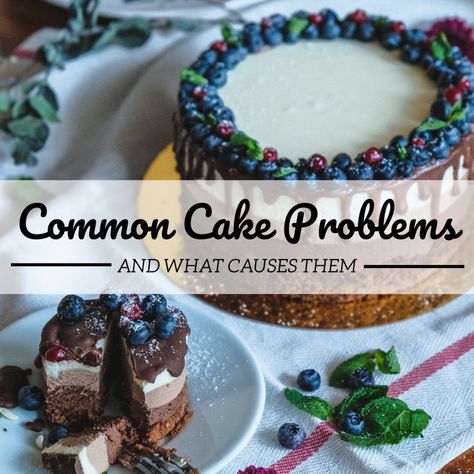 Cake faults are very common and varied. The chemical processes in cake-making are fairly complex but still readily understandable. With knowledge of common cake faults and their causes, readers will be able to identify mistakes and determine how best to avoid them in the future. Cake Problem, Oven Top, Cake Wraps, Measuring Ingredients, Types Of Flour, Cake Making, Dump Cake, Bakery Recipes, Cake Tins