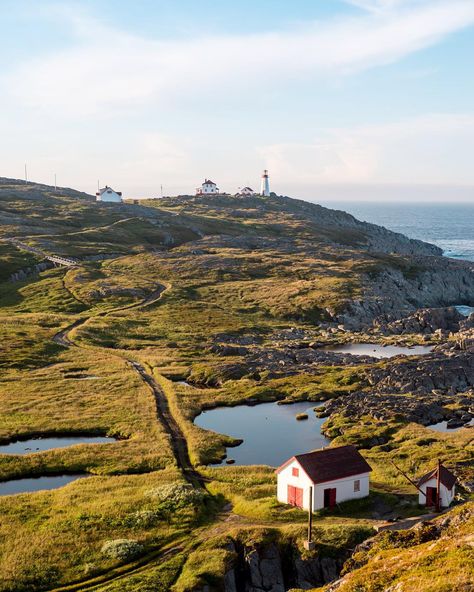 Newfoundland’s rocky, fog-bound Atlantic coastline is the perfect place to admire historic beacons and stunning vistas. Nora From Queens, Newfoundland Travel, Broad City, Canada Images, Eastern Canada, Atlantic Canada, Visit Canada, Newfoundland And Labrador, Prince Edward Island