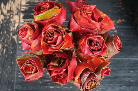 want to make some of these waiting on leaves to turn, wonder if could do w/ silk leaves-----roses made from maple leaves Leaf Roses, Making Roses, How To Make Rose, Repurposed Art, Rose Crafts, Autumn Rose, Autumn Crafts, Bee Crafts, Rose Decor