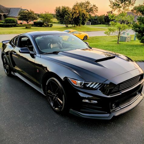 Mustang Ecoboost Premium, White Mustang, Ford Mustang Ecoboost, Gt 500, Mustang Ecoboost, 2015 Mustang, Shelby Gt, Black N White, Mustang Gt