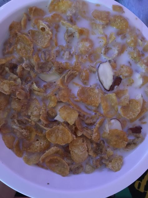 Bowl of honey bunches of oats and low-fat milk (4/26/18) Honey Bunches Of Oats, Low Fat, Sugar Free, Oats, Oatmeal, Good Food, Honey, Milk, Bowl