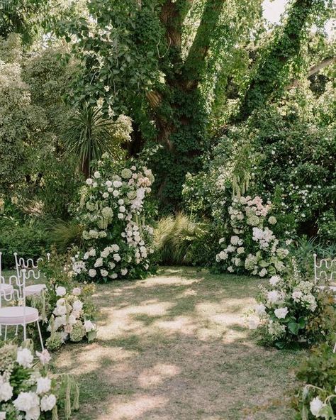 Flowers St. Germain on Instagram: "This magical ceremony set up for Trinity + Simon ✨ 
Styling + Planning: @wanderlust_creative 
Styling Photography: @danellebohane 
Hire: @danneventhire 
Venue: @gardenshouseag 
Flowers: @flowersstgermain" Ceremony Garden Wedding, Garden Wedding Ceremony Ideas, Outdoor Ceremony Ideas, Event Florals, Green Vibes, Royal Botanic Gardens, Creative Styling, Garden Weddings Ceremony, Styling Photography