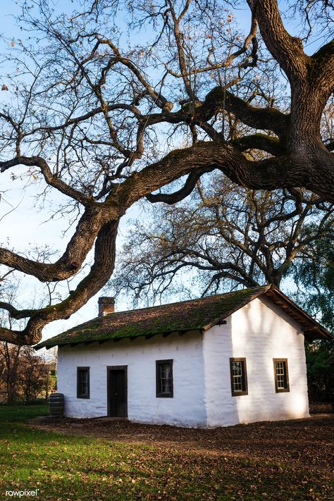 Red Bluff California, California Vineyards, Adobe Home, Red Bluff, Sacramento River, Monterey Peninsula, California Coastline, California Bear, Adobe House