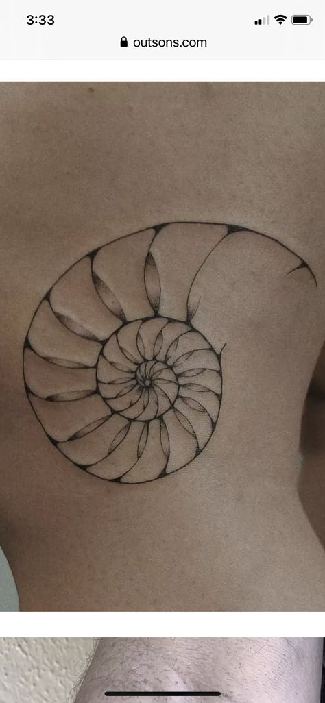 Fibonacci Tattoo Golden Ratio, Tattoo Golden Ratio, Nautilus Tattoo, Fibonacci Tattoo, Nautilus Shell, Golden Ratio, Nautilus, Leaf Tattoos, Maple Leaf Tattoo