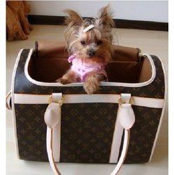 Louis Vuitton Dog Carrier - This one is perfect for traveling and airline approved! Louis Vuitton Dog Carrier, Designer Purses And Handbags, Pet Carrier Bag, Handbag Stores, Yorkshire Terriers, Yorkie Dogs, Yorkshire Terrier Puppies, Terrier Puppies, Yorkie Puppy